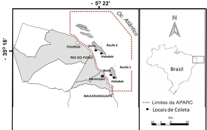 Figura  1:  Mapa  da  Área  Estadual  de  Proteção  Ambiental  de  Recife  de  Corais  (APARC-RN)  com 