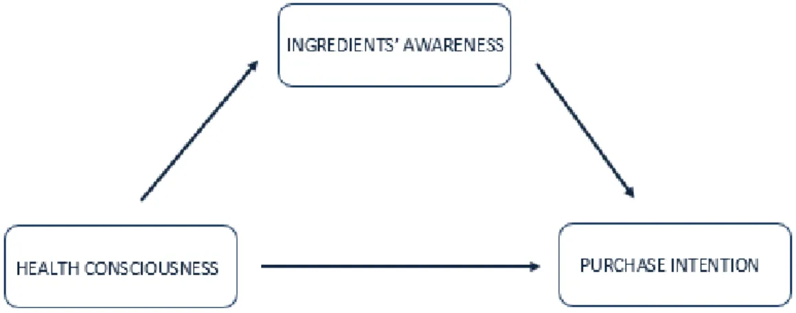 Figure 1: Conceptual Framework 