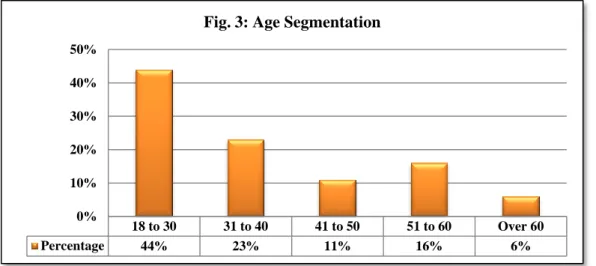 Fig. 3: Age Segmentation 
