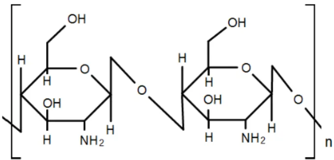 Figura 5  –  Estrutura idealiz ada da quitosana, sendo “n” o grau de polimerização  [64]