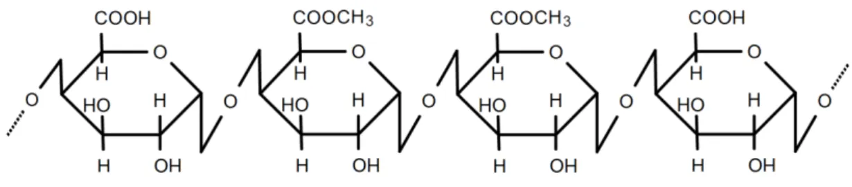 Figura 7  –  Estrutura química da pectina . 