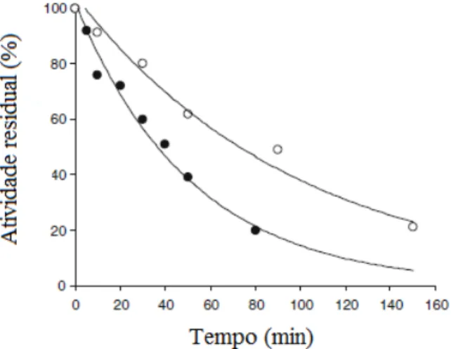 Figura 4.5.: Inativação térmica a 70°C e pH 7.0, de de xilanase comercial solúvel  (círculos vazios) e xilanase dialisada solúvels (círculos cheios)