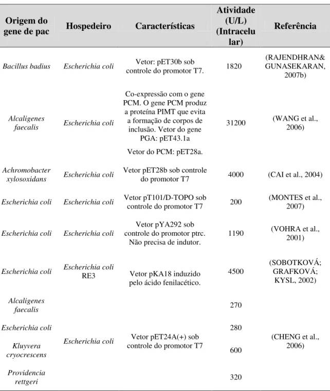 Tabela  3.6  -  Linhagens  de  E.  coli  geneticamente  modificadas  pela  para  produção de PGA recombinante
