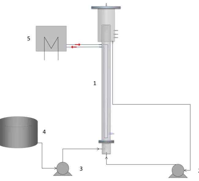 Figura 4. 1  –  Sistema completo do reator R1 e R2. 1  –  Reator; 2  –  Bomba de Recirculação; 3  – Bomba de alimentação; 4 – Tanque de alimentação; 5 – Banho Termostático (Acervo do Autor)