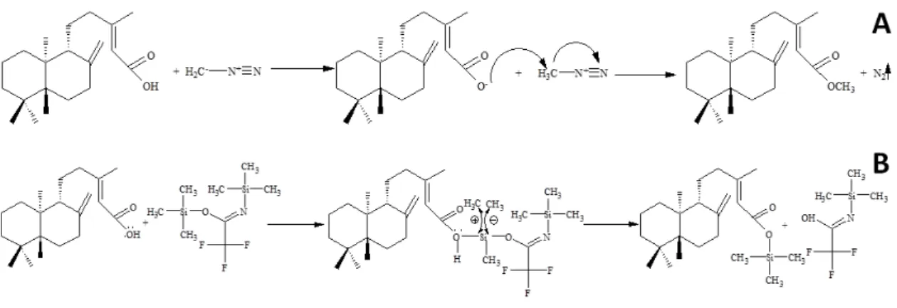 Figure 1:  Derivatization reactions of carboxylic acid (i.e. copalic acid). The Figure A  and B show the methylation and silylation reactions, respectively