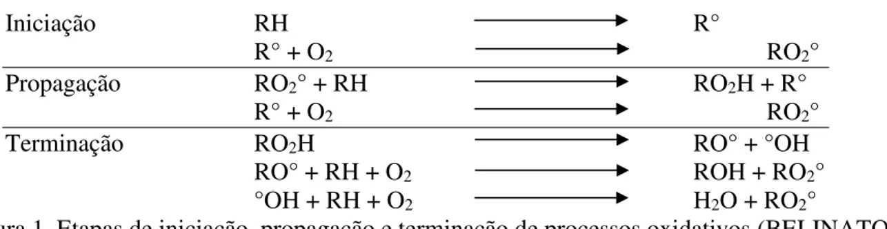 Figura 1. Etapas de iniciação, propagação e terminação de processos oxidativos (BELINATO,  2010) 