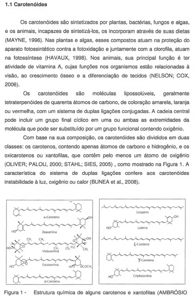 Figura 1 - Estrutura química de alguns carotenos e xantofilas (AMBRÓSIO  et al., 2006)