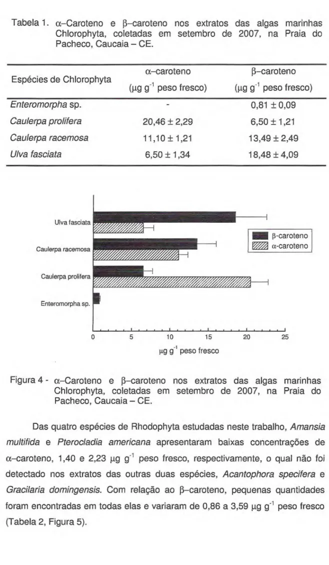 Figura 4 - a-Caroteno e p-caroteno nos extratos das algas marinhas  Chlorophyta, coletadas em setembro de 2007, na Praia do  Pacheco, Caucaia - CE