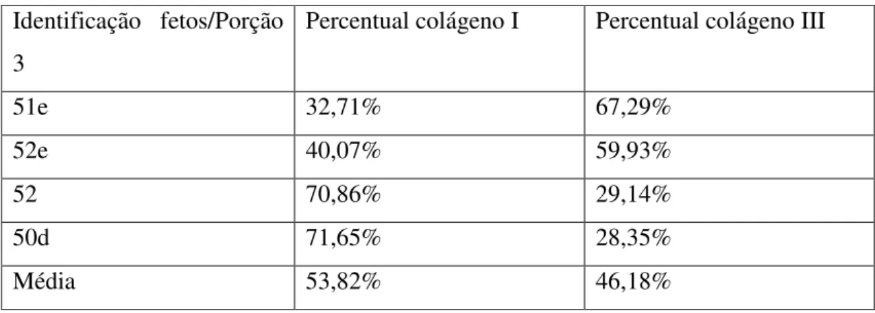 Tabela 4- Percentual colágeno I e III na porção 3. 