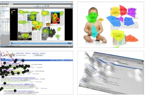 Figura 9: Exemplos diferentes da diversidade de representação gráfica e exportação de  dados do Eye Tracking.