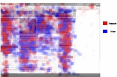 Figura 10: Registo por Eye Tracking das preferências visuais de mulheres (a vermelho) e  homens (a azul) e sua concentração referido por Schiessl et al