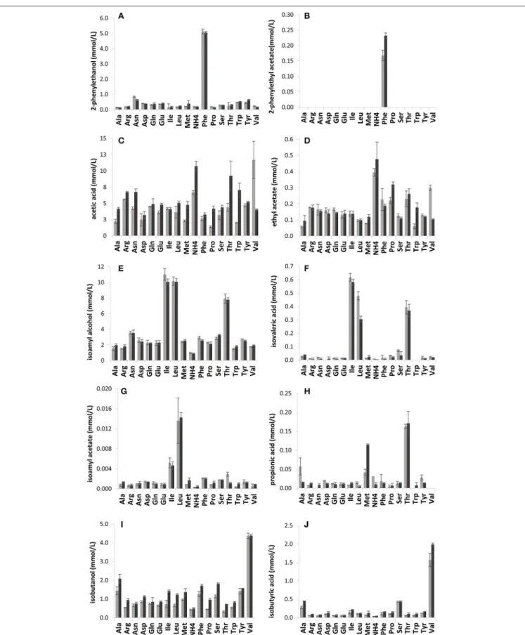 FIGURE 2 | The impact of single amino acids in YNB on the production of volatile compounds by VIN13 (light gray) and BM45 (dark gray) on the production of volatile compounds (mmol/L) such as 2-phenylethanol (A), 2-phenylethyl acetate (B), acetic acid (C), 