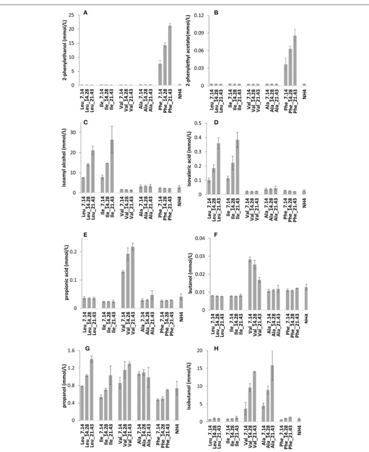 FIGURE 3 | The impact of increasing concentrations of BCAAs in synthetic grape must on the production of volatile compounds by VIN13: 2-phenylethanol (A), 2-phenylethyl acetate (B), isoamyl alcohol (C), isovaleric acid (D), propionic acid (E), butanol (F),