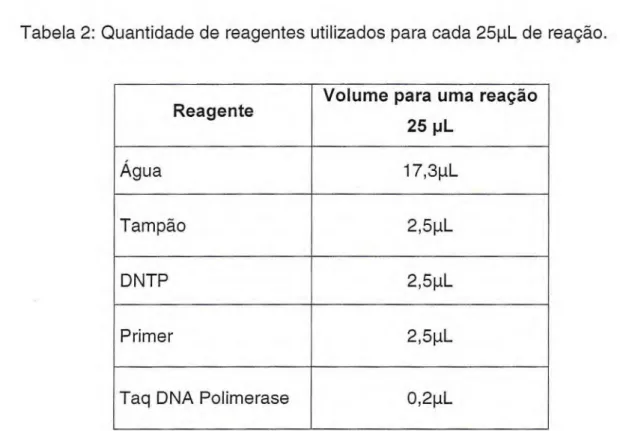 Tabela 2: Quantidade de reagentes utilizados para cada 254 de reação. 