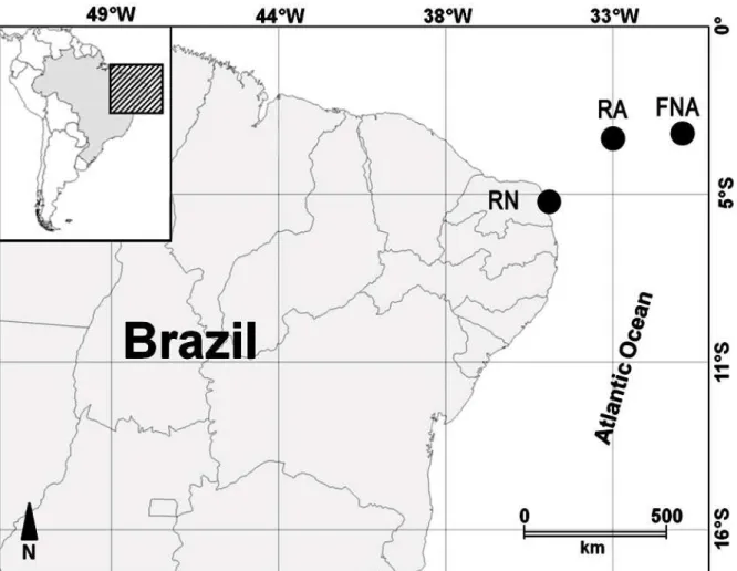 Figura 01. Pontos de coleta de Bathygobius, Rio Grande do Norte (RN), Atol das Rocas 