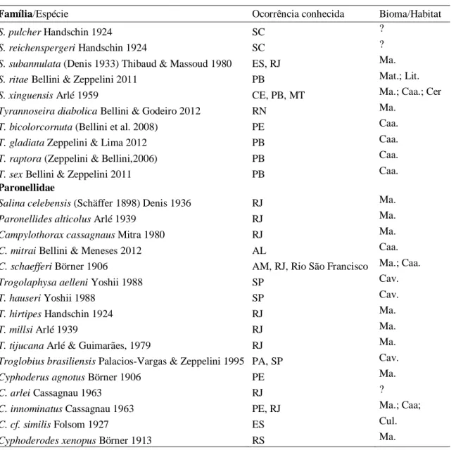 Figura 12. Aspecto geral de um coêmbolo Symphypleona, os números representam os tagmas cabeça (1),  grande abdome (2) e pequeno abdome (3)