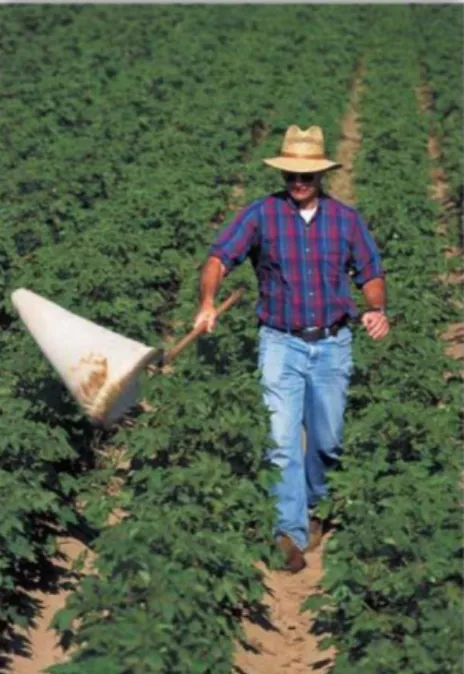 Figure 3 - Example of knockdown sampling  (Source: http://www.entnemdept.ufl.edu)  c)  In situ counts 