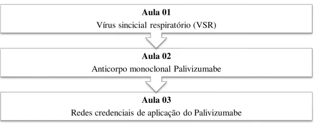 Figura  4  – Planejamento  das  aulas  do  curso  on-line  Anticorpo  monoclonal  Palivizumabe: 