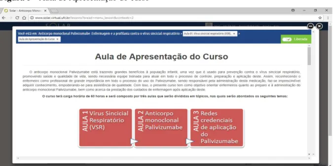 Figura 5 - Aula de Apresentação do curso 