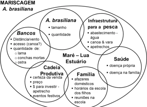 Figura  1.  Fatores que podem  estar  associados  à decisão  de  quando mariscar A. brasiliana, onde ir e quanto extrair