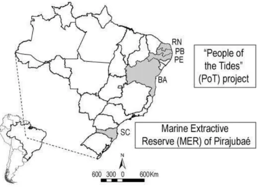 Figure 1. Location of Brazil’s two experiences in co-management of  Venus clam (Anomalocardia brasiliana ): “People of the Tides”  project (PoT), in the states of Rio Grande do Norte, Pernambuco,  Bahia and Paraíba, and the “Pirajubaé” Marine Extractive Re