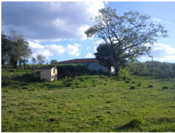 Fig.  10:  Vista  diagonal  da  EMEB  Fazenda  Barreirinho.  