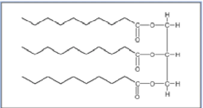 Figura 3. Estrutura química de um triglicerídeo de cadeia média com cadeias carbonadas derivadas 