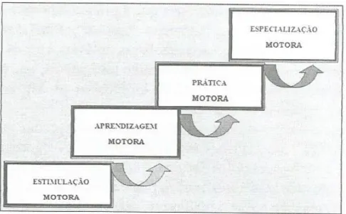Figura 2. Fluoxograma do modelo de especialização motora por Krebs  