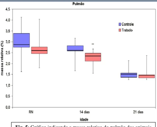 Fig. 5: Gráfico indicando a massa relativa do pulmão dos animais  sacrificados ao nascer e nos 14º e 21º dias de amamentação