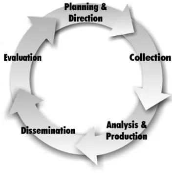 Figura 3: As cinco fases do Ciclo de Produção de Informações 