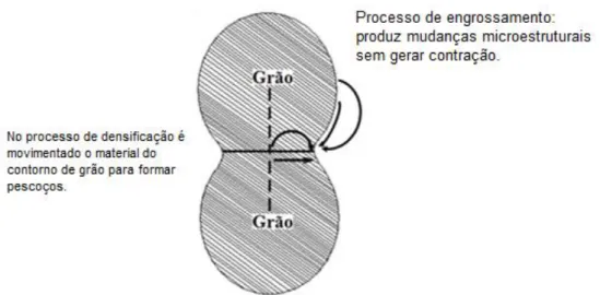 Figura 2.2:  Esquema da fase inicial do processo de sinterização, onde ocorre difusão iônica  para a formação de pescoços e engrossamento destes (Adaptado de  5 )