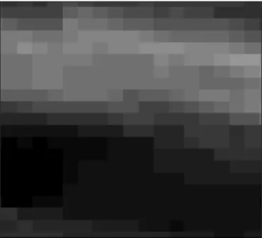 Figura 2. Imagem do sensor HRC do satélite CBERS 2B, com resolução de 5 metros. 