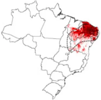 Figura 2 - Distribuição geográfica real e potencial de Triatoma brasiliensis no Brasil 