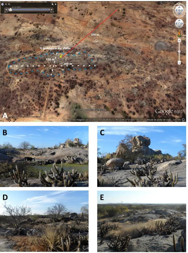 Figura 8 - Localização, proximidade em relação às residências e área do conglomerado  de pedras (Cachoeira do Júlio / CJ), município de Tauá (CE)  