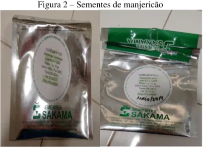 Figura 2  –  Sementes de manjericão 