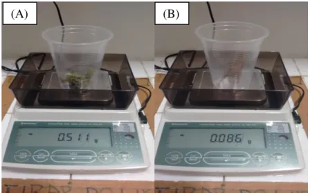 Figura 9- MSPA (A) e MSRA (B) 