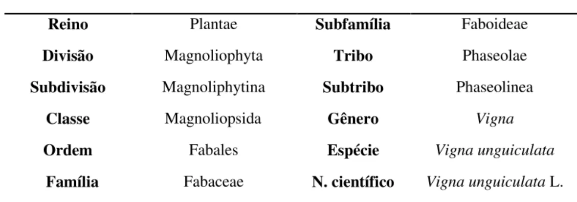Tabela 2  –  Taxonomia de Vigna unguiculata L. (Walp.) 
