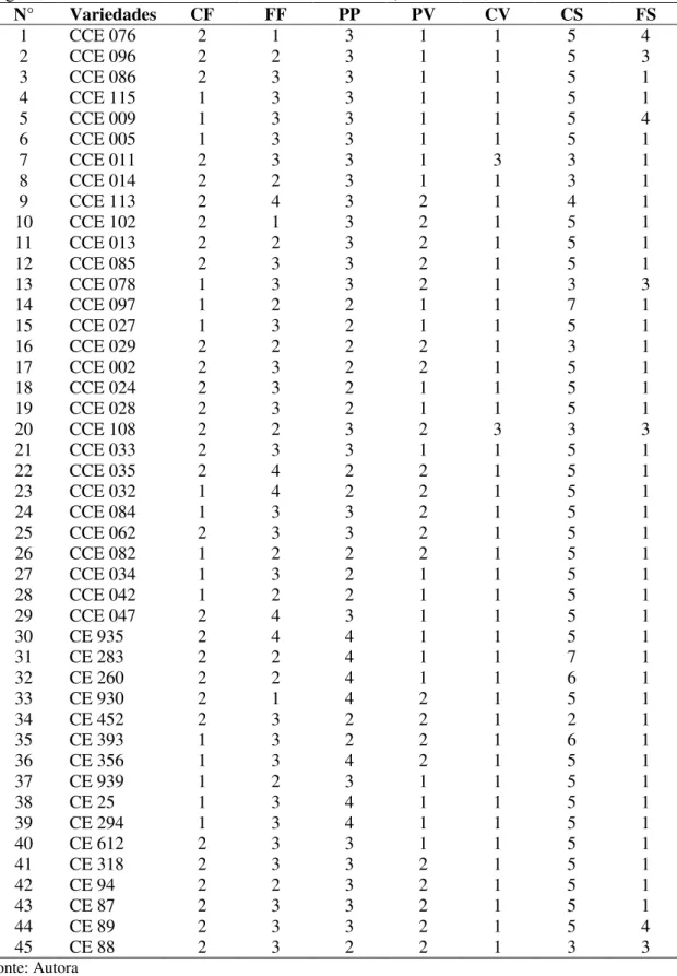 Tabela  4  –   Características  qualitativas  e  classificação  de  acordo  com  cada  categoria  estabelecida, utilizada na diferenciação das variedades de feijão-caupi avaliadas (CF- cor  da flor;  FF-forma do folíolo;  PP- porte da planta;  PV- posição 