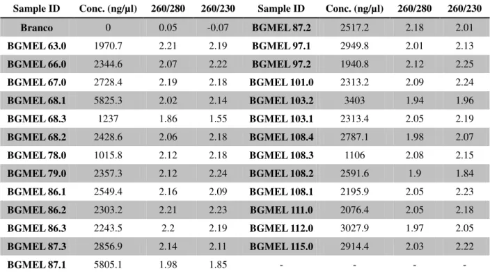 Tabela 2 - Quantificação do DNA extraído de 26 acessos de meloeiro do BAG de Cucurbitáceas para o Nordeste  brasileiro 