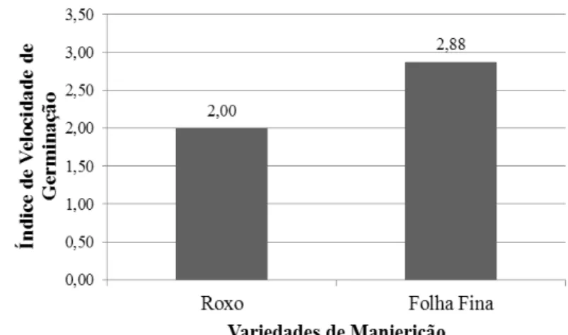 Gráfico  4. Índice  de velocidade  de germinação  (IVG)  de duas variedades  de manjericão  (Ocimum basilicum L.)