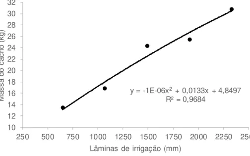 Gráfico 4  –  Efeito da lâmina de irrigação acumulada no ciclo na  massa  media  do  cacho  da  bananeira  cv