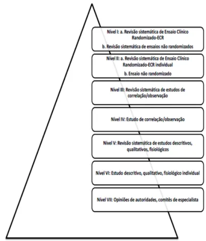 Figura 1  –  Hierarquia das Evidências 