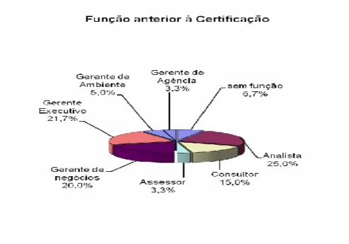 Gráfico 2 – Distribuição das funções anterior à Certificação 