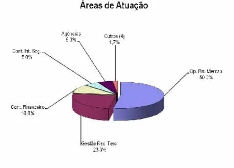Gráfico 4 – Distribuição das áreas de atuação 