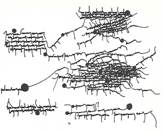 Figura A6 – Fonte: Ana Atherly, “Tisanas”, Berlim: Edition Tranvia, 1998. Pág 65. 