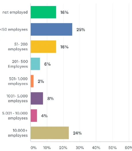 Figure 13: Company size of participants work for 