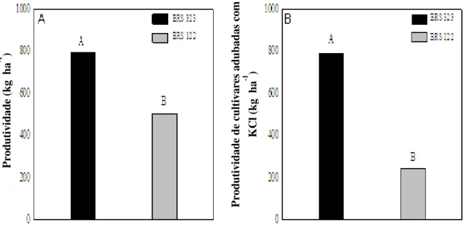 Figura  3  -  Produtividade  referente  às  cultivares  de  girassol  submetido  à  adubação  orgânica  e  mineral (A) e adubadas com o cloreto de potássio (B)
