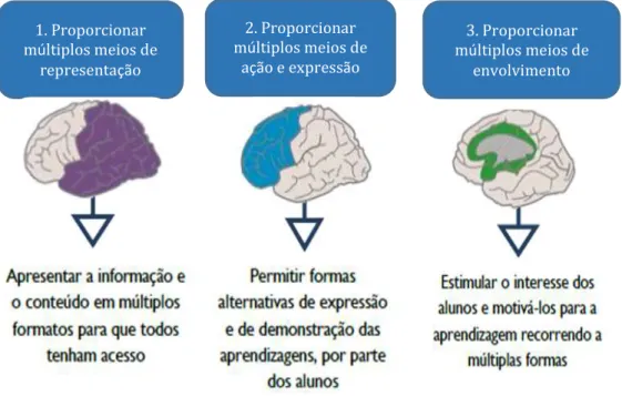 Figura 5  –  Princípios do Desenho Universal da Aprendizagem 