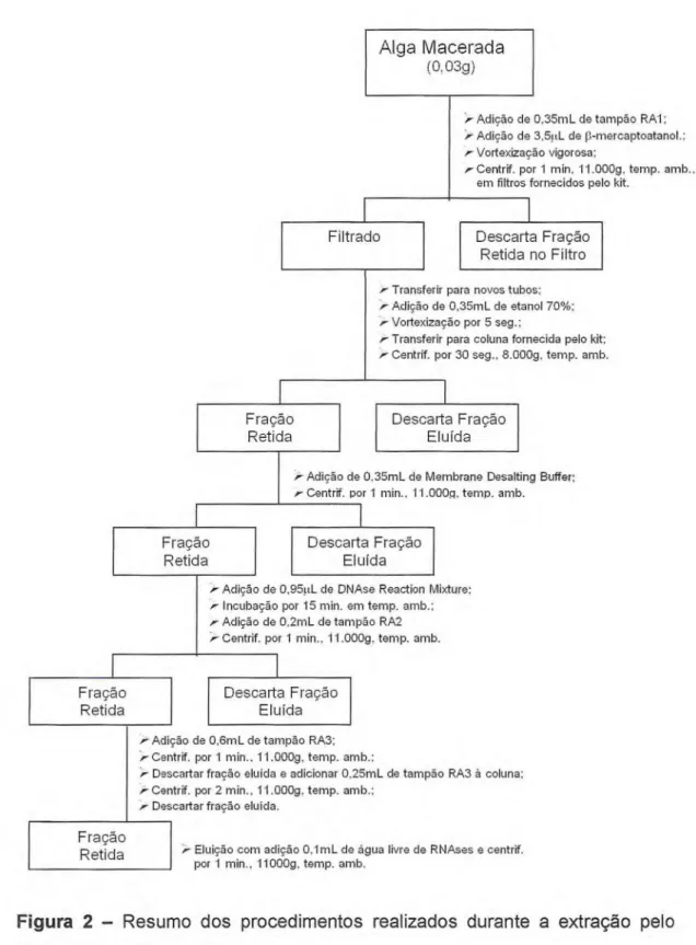 Figura 2 ® Resumo dos procedimentos realizados durante a extração pelo  método RNAspin Mini Kit