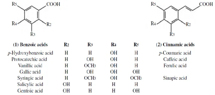 Figure 1: Phenolic acids found in grapes and wine (reproduced from Ribéreau-Gayon, et al., 2006)  